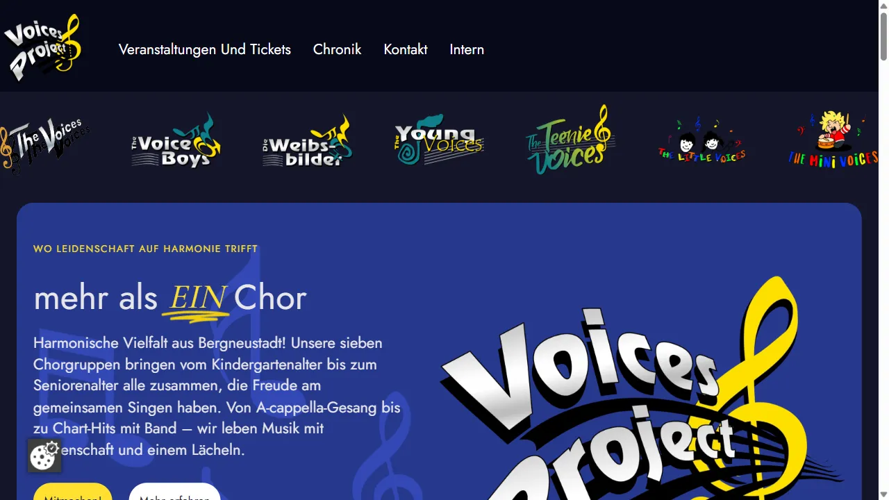 Screenshot der Website Voices Project